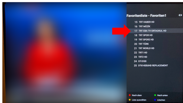 mceclip3.png